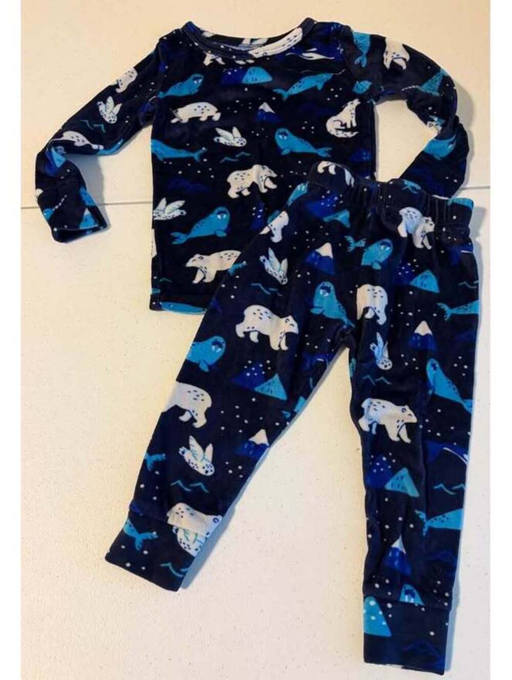 Cat & Jack 2T Fleece Pajama Set